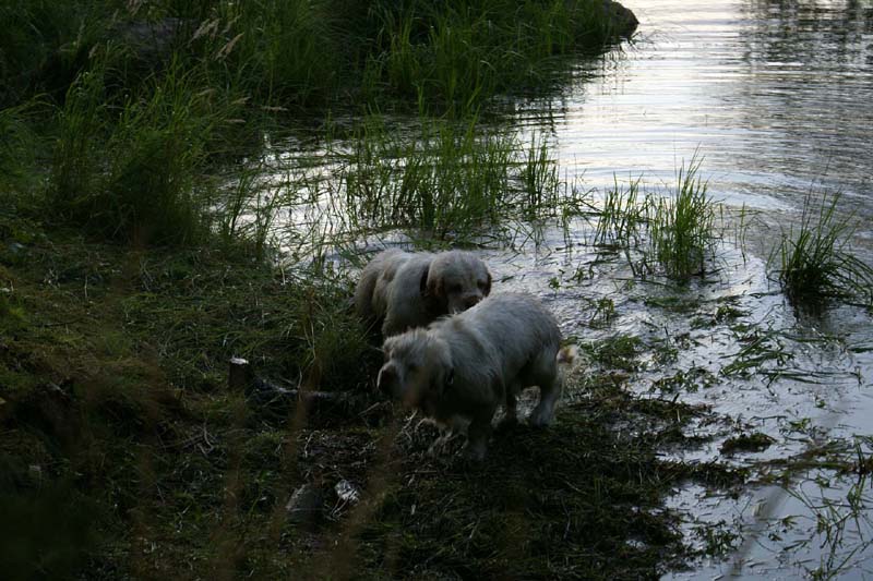 RoudtableKnightKids_meeting19Aug2009_Elimaki_pp