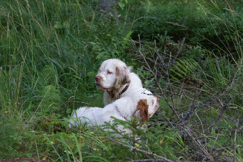 RoudtableKnightKids_meeting19Aug2009_Elimaki_qq