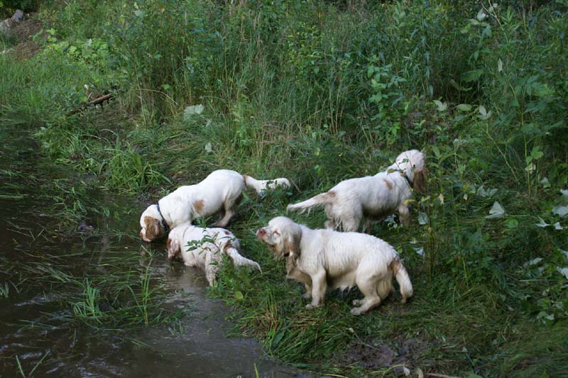 RoudtableKnightKids_meeting19Aug2009_Elimaki_ss