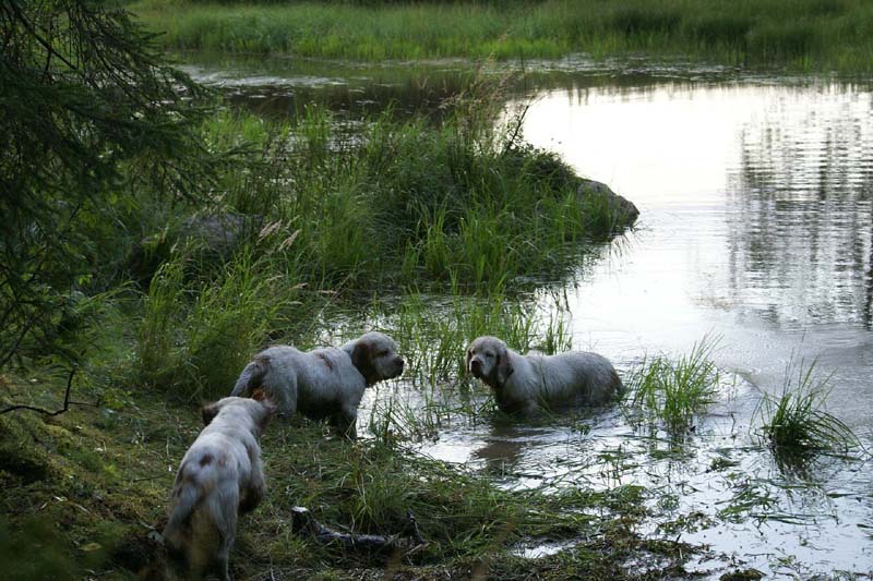 RoudtableKnightKids_meeting19Aug2009_Elimaki_uu