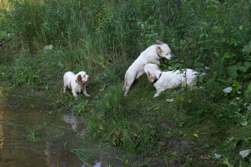 RoudtableKnightKids_meeting19Aug2009_Elimaki_v