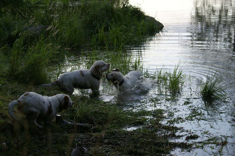 RoudtableKnightKids_meeting19Aug2009_Elimaki_ww