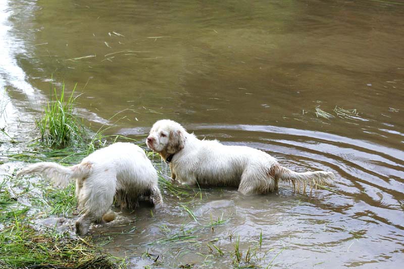 RoudtableKnightKids_meeting19Aug2009_Elimaki_x