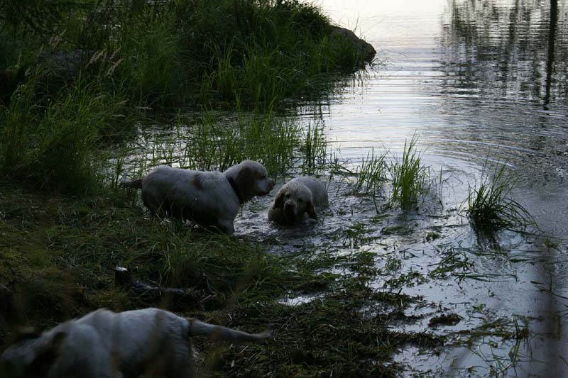 RoudtableKnightKids_meeting19Aug2009_Elimaki_xx