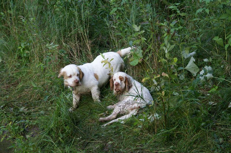 RoudtableKnightKids_meeting19Aug2009_Elimaki_zz