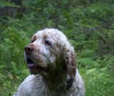 RoudtableKnightKids_meeting19Aug2009_Elimaki_Keanu_b