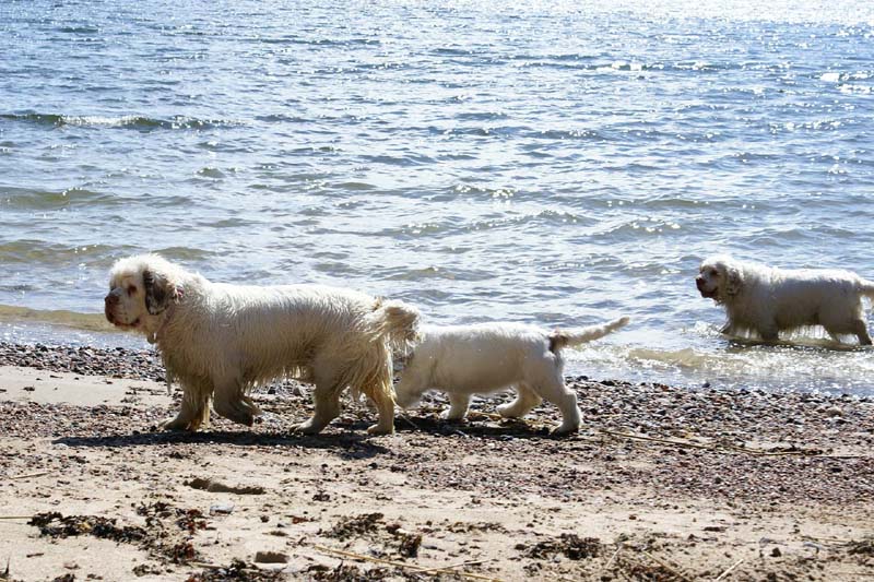 Hilla_4months_Bumbaa_Cotton_Longön_b