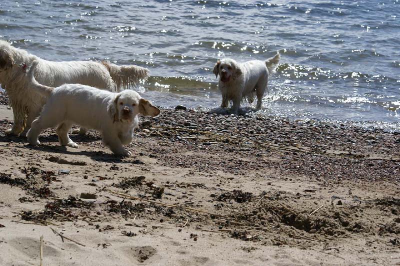 Hilla_4months_Bumbaa_Cotton_Longön_c