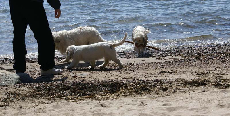 Hilla_4months_Bumbaa_Cotton_Longön_f