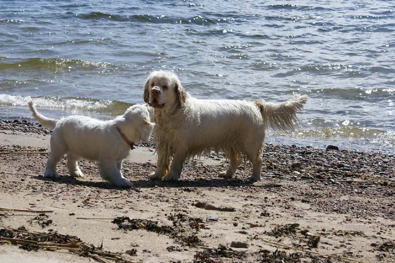 Hilla_4months_Bumbaa_Longön_a