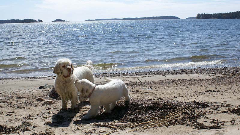 Hilla_4months_Bumbaa_Longön_c