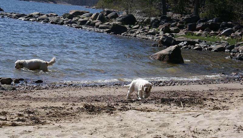 Hilla_4months_Bumbaa_Longön_d