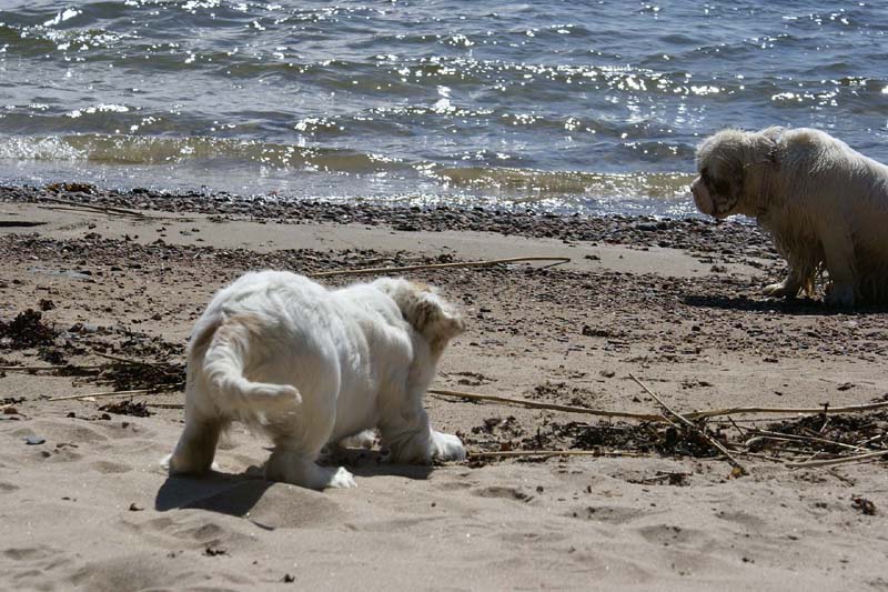 Hilla_4months_Bumbaa_Longön_e