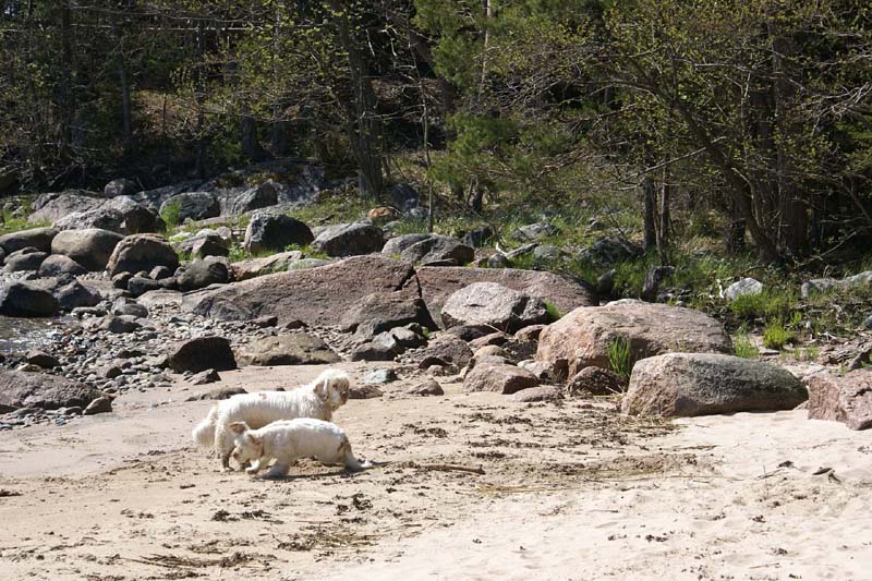 Hilla_4months_Bumbaa_Longön_h