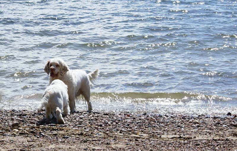 Hilla_4months_Cotton_Longön_b