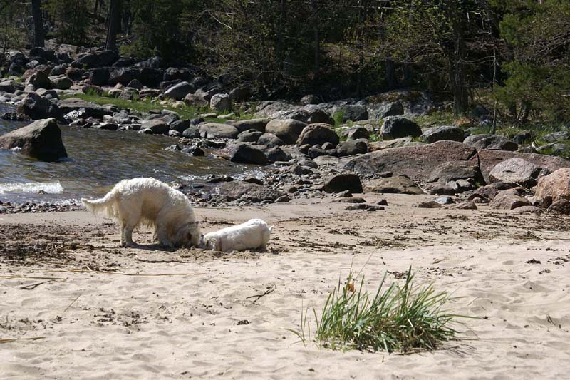 Hilla_4months_Cotton_Longön_c