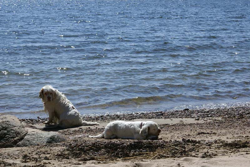 Hilla_4months_Cotton_Longön_d