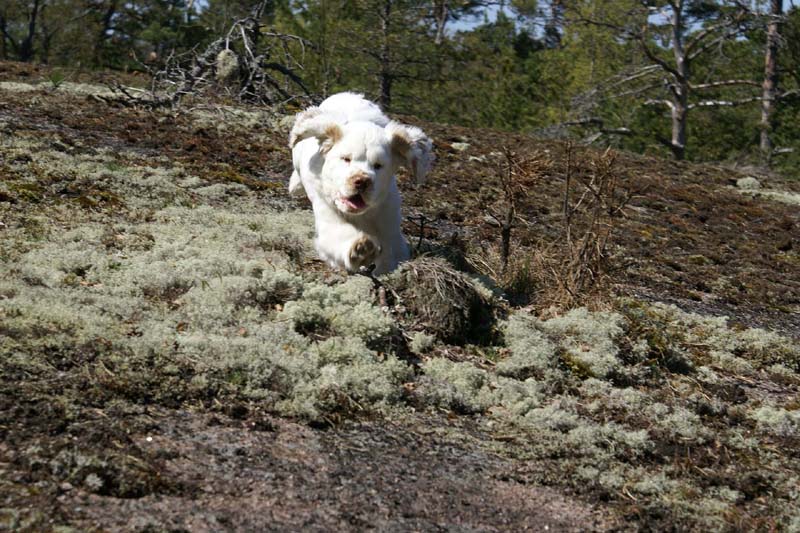 Hilla_4months_Longön_a