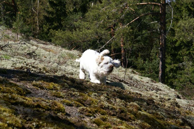 Hilla_4months_Longön_d