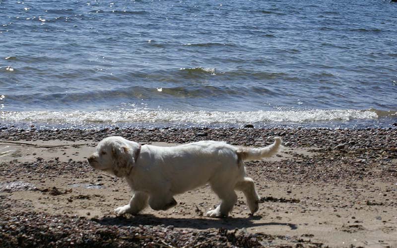 Hilla_4months_Longön_g