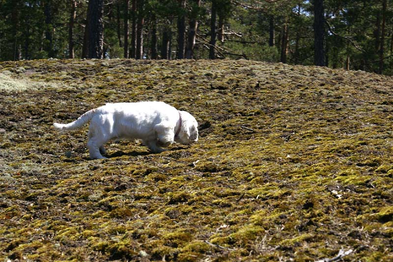 Hilla_4months_Longön_h