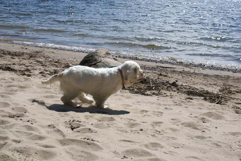 Hilla_4months_Longön_i