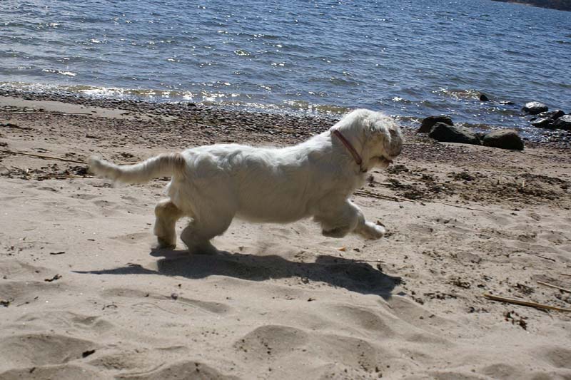 Hilla_4months_Longön_j