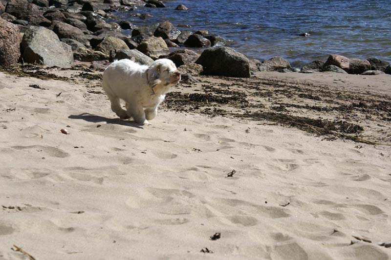 Hilla_4months_Longön_k