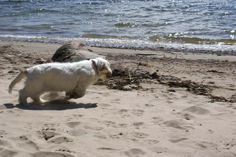 Hilla_4months_Longön_l