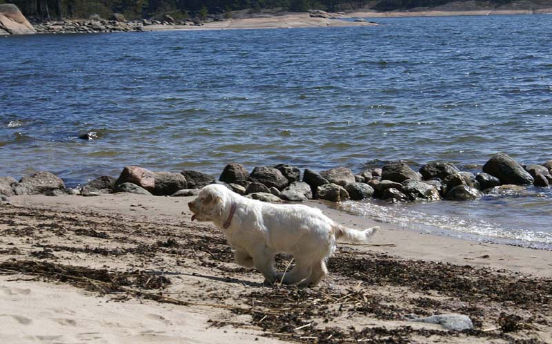 Hilla_4months_Longön_m