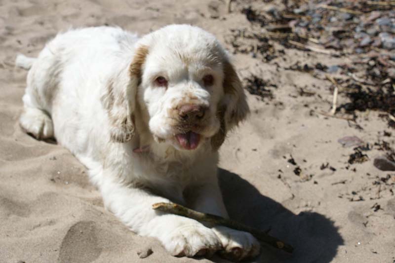 Hilla_4months_Longön_o