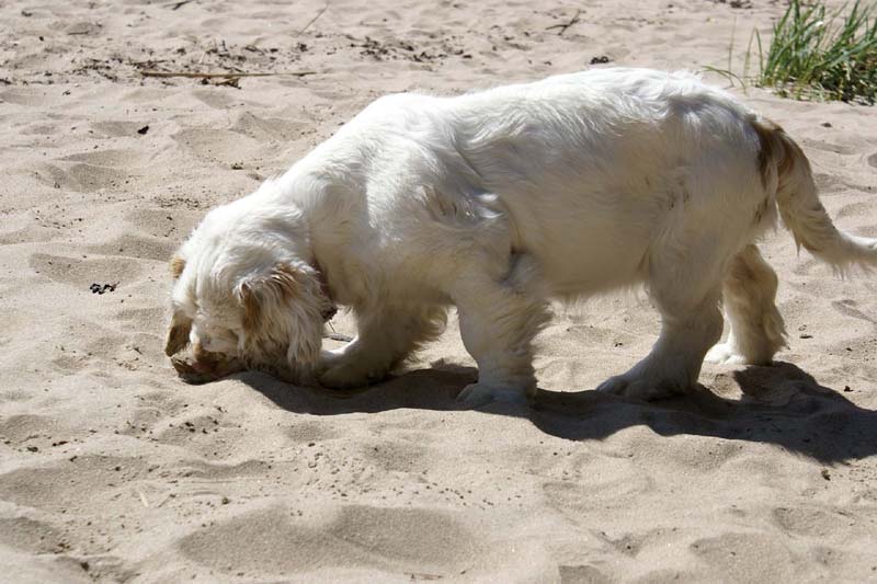 Hilla_4months_Longön_p