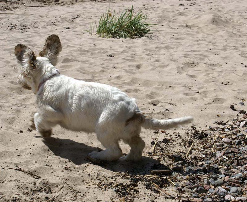 Hilla_4months_Longön_q