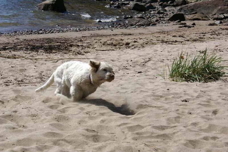 Hilla_4months_Longön_r