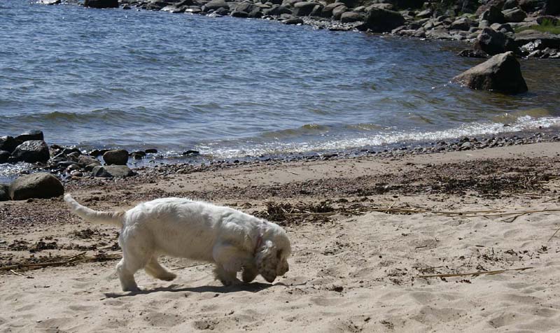 Hilla_4months_Longön_s