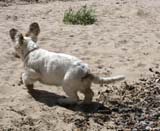 Hilla_4months_Longön_q