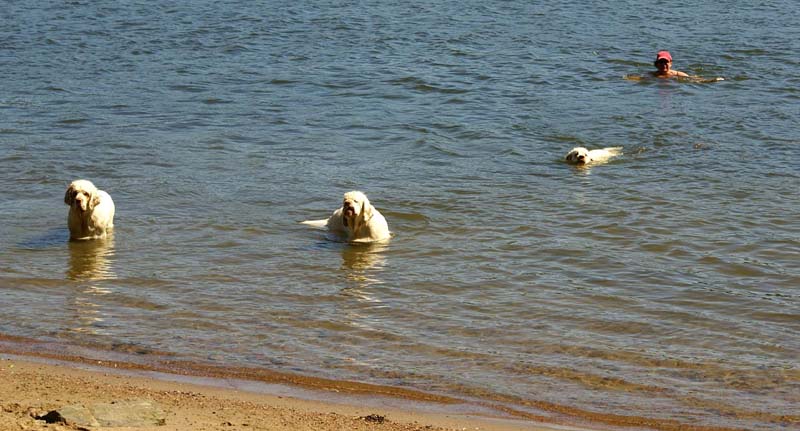 Bumbaa_Cotton_Hilla_in_Sondby_2July2010_b