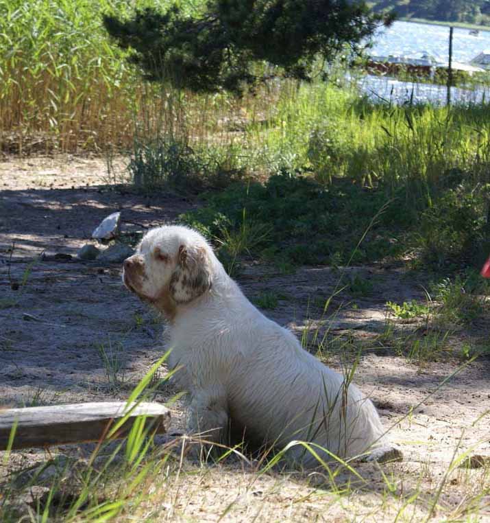 Hilla_in_Sondby_2July2010_a