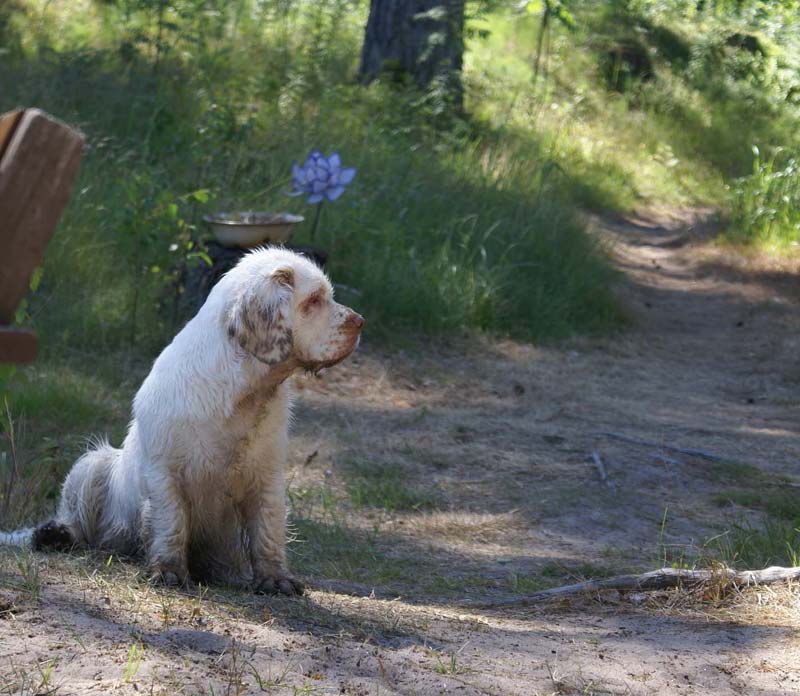 Hilla_in_Sondby_2July2010_b