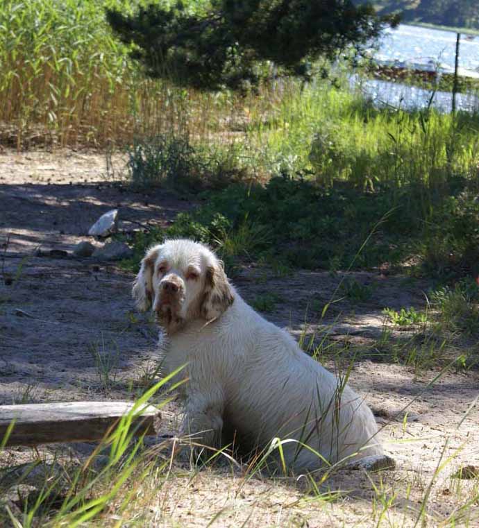 Hilla_in_Sondby_2July2010_c