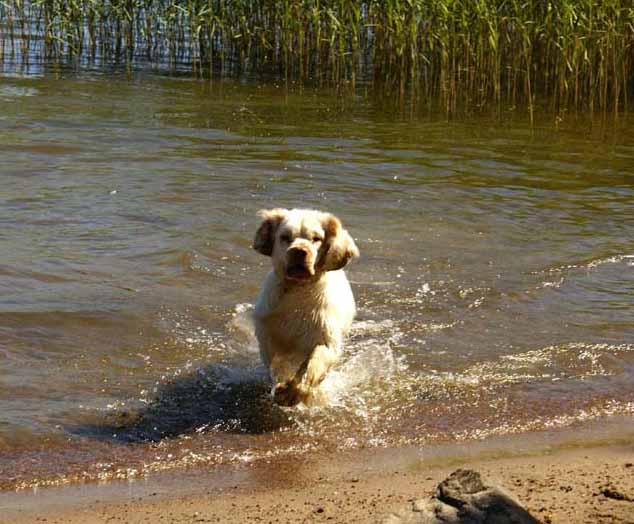 Hilla_in_Sondby_2July2010_d