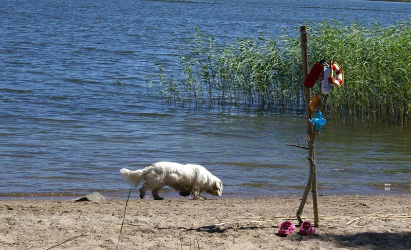 Hilla_in_Sondby_2July2010_e