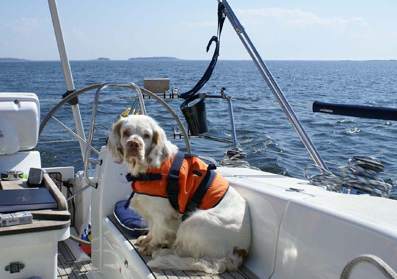 Hilla_sailing_16May_2010_b