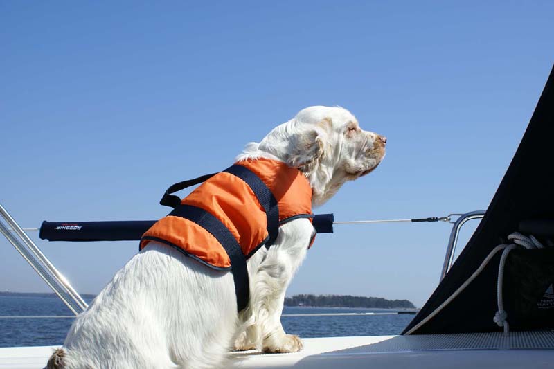 Hilla_sailing_16May_2010_c