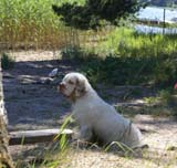 Hilla_in_Sondby_2July2010_a