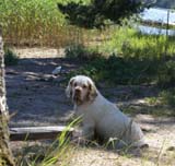 Hilla_in_Sondby_2July2010_c