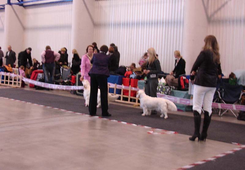 Vilnius_14March2009_Brenda