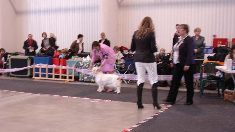 Vilnius_14March2009_Hilla