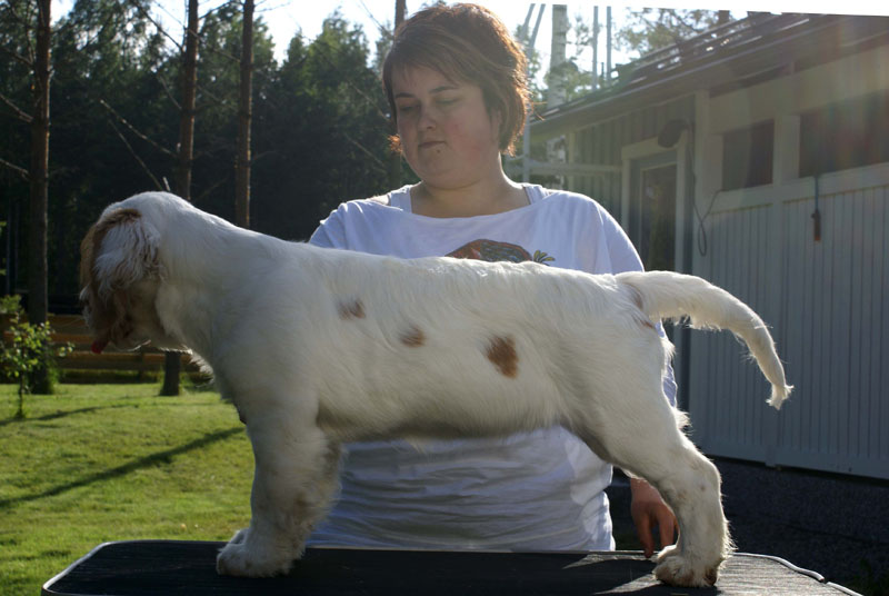 Wilma_15weeks_k
