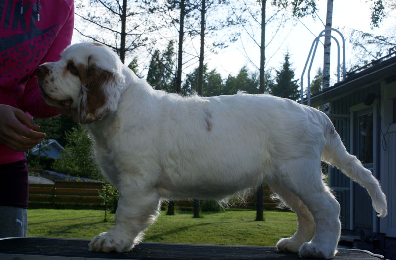 x_Hulda_15weeks_a